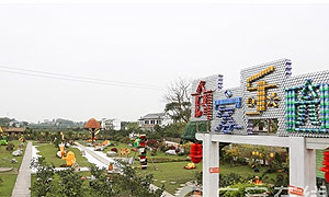 武胜美丽乡村：让城里人更向往（图）