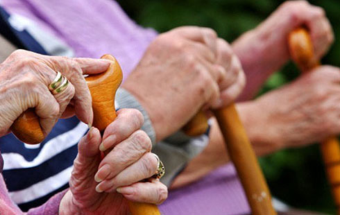 聚集金融支持养老产业发展成都高峰论坛 行业