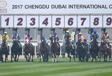 成都·迪拜国际杯赛马经典赛在成都温江举行