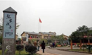 广安武胜：树立全域旅游经济理念 加快项目建设转型发展