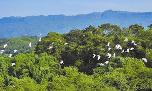 绿色发展四川答卷：建设美丽四川 坚决守住绿水青山