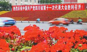 党代表热议十届四川省委报告：“高举旗帜维护核心，这是人心所向”