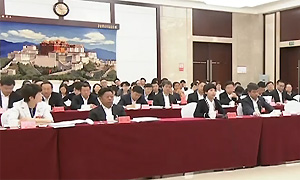各代表团继续审议十届四川省委报告和省纪委工作报告