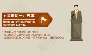 大局下的四川⑯｜五个关键词刻画十届四川省委执政“肖像”