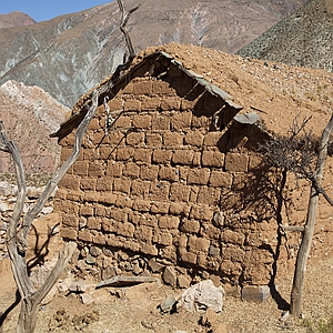 新华网四川新闻百科数据库