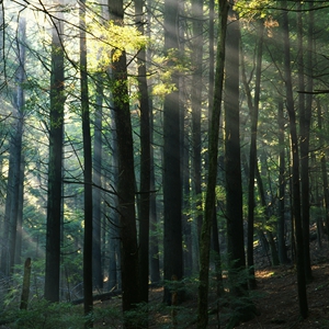 政商动态-新华网四川新闻百科数据库