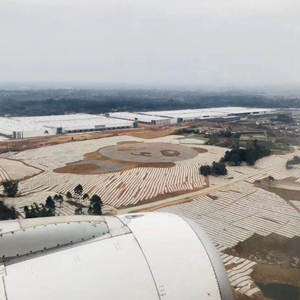 成都双流区空港花田现雏形 熊猫造型景观有看点