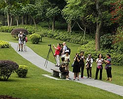 成都成華區城市治理髮力 提升市民幸福感獲得感