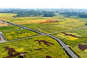 夯实乡村振兴基础 眉山成全省“代表”
