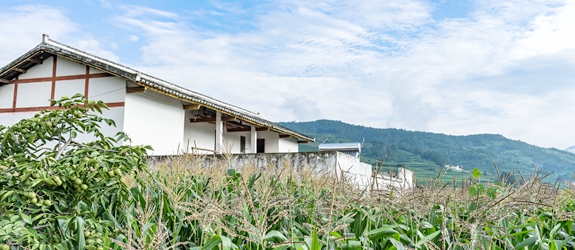 “一山分四季，十里不同天”