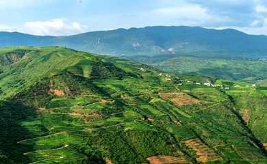 农业基地