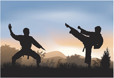什么武什么功的成语_成语故事简笔画(3)