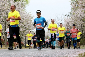 2019眉山东坡国际半程马拉松开赛