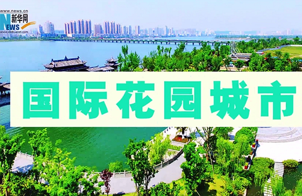 新華網動畫丨約嗎？全國頂尖龍舟隊將在綠色遂寧激情競渡！