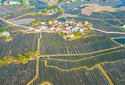 广安前锋区：建好现代农业园区 谱写高质量发展新篇章