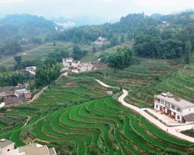 珙县人口有多少_珙县巡场新城区规划图