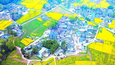 都江堰人均收入_都江堰景区