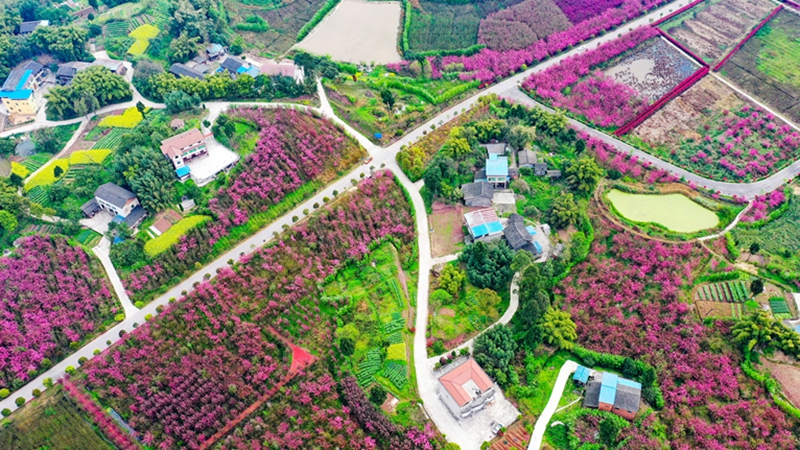 四川华蓥：锦绣田园 画里乡村