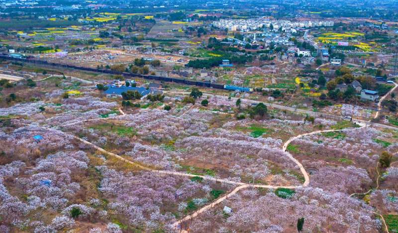 发展都市开放农业、建设美丽宜居乡村、深化农业农村改革、创造幸福美好生活。