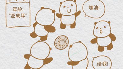 熊猫&ldquo;漫&rdquo;科普：大熊猫的成长日记