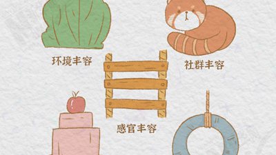 熊猫&ldquo;漫&rdquo;科普：大熊猫的&ldquo;丰容&rdquo;玩具