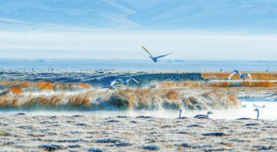《阿坝州推动黄河流域生态保护治理和高质量发展实施方案（2021—2030）》出台