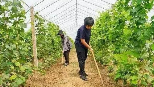 四川“家庭农场信贷直通车”首批贷款发放