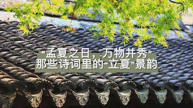 “孟夏之日，万物并秀” 那些诗词里的“立夏”景韵