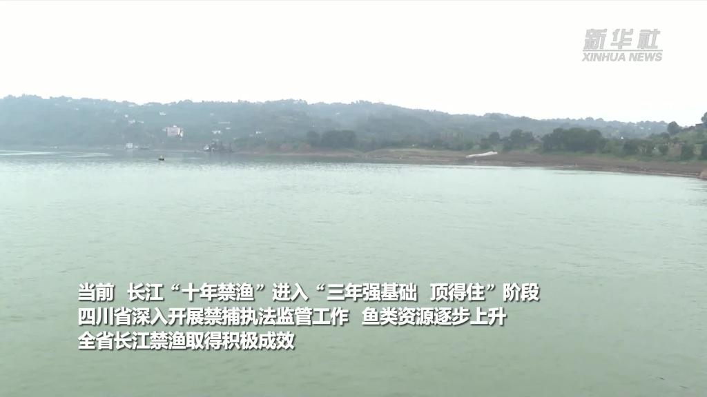 国社@四川｜四川：长江“十年禁渔”取得积极成效