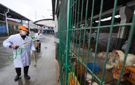 卫生计生委：确诊18例H7N9禽流感 未发现人传人
