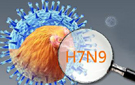 中科院：H7N9病毒中韩混血说法不实