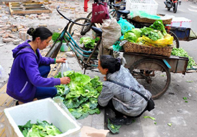 芦山灾区见闻：部分受灾地区群众生活逐步开始恢复