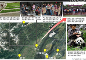 芦山地震第五日焦点播报