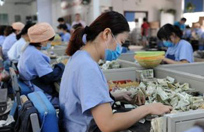 公交点钞流水线 运指如飞点钞忙