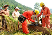 农民忙秋收 员工保电忙