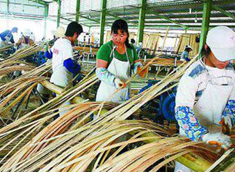 中国宜宾长宁蜀南竹海全国摄影大赛