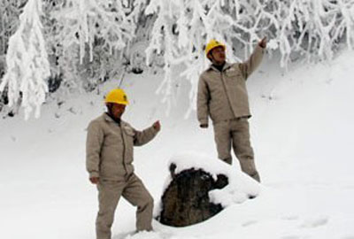 踏雪特巡保供电