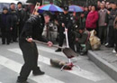 流浪狗被警察当街杖毙 警方称依法处置