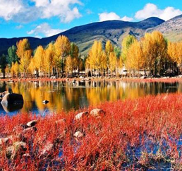 网络票选四川特色小镇 邀您投票